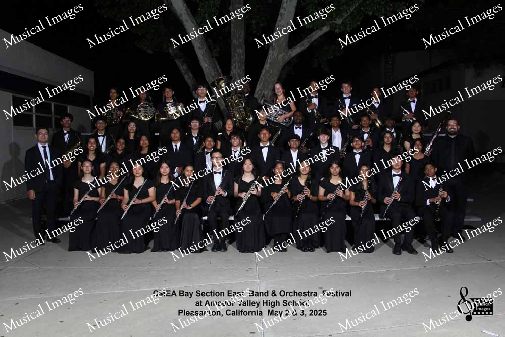 Musical Images